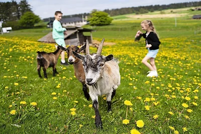 6 Personen Ferienhaus auf einem Ferienpark...