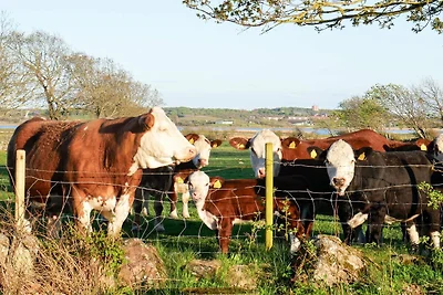 4 Sterne Ferienhaus in VARBERG