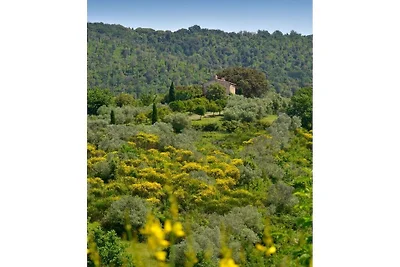 Villa in Toskana mit 3 Schlafzimmer
