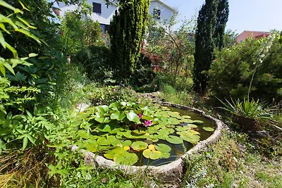 Appartamento con terrazza vicino alla...