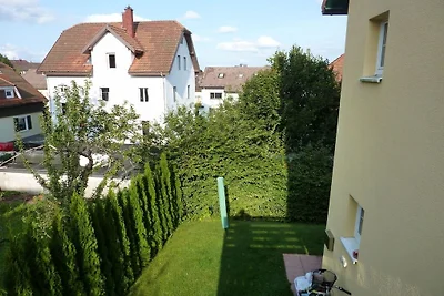 Zwarte Woud licht