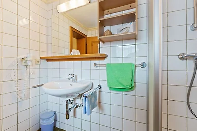 Apartment in Skigebiet Saalbach-Hinterglemm