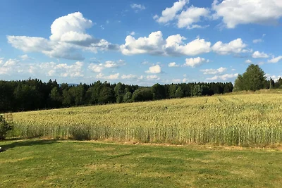 Geräumige Ferienwohnung in Schönsee mit Sauna
