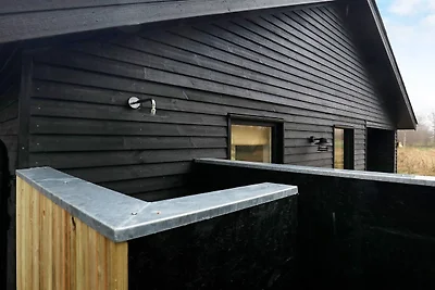 10 persoons vakantie huis in Vinderup-By...