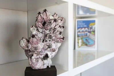 Ferienwohnung in Les Sables mit Meerblick