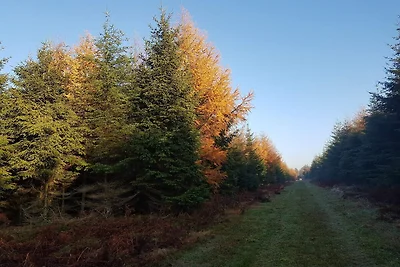 4 Personen Ferienhaus in Toftlund-By Traum