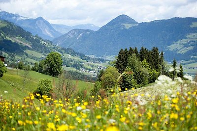 Accogliente appartamento per vacanze a Fügen