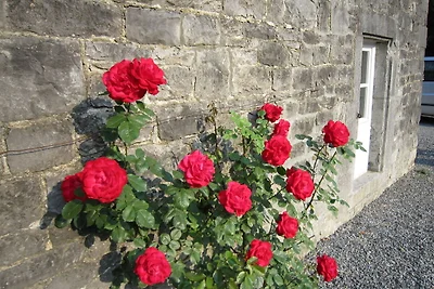Karaktervolle vakantiewoning in boerderij bij...