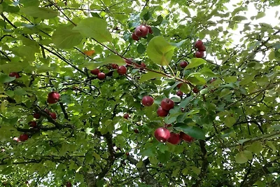 6 Personen Ferienhaus in Sæby-By Traum