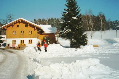Schönes Ferienhaus in Viechtach in Waldnähe