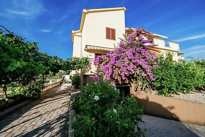 Schöne Ferienwohnung in Biograd na Moru mit...