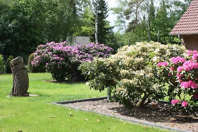 Vissershuis Mardorf