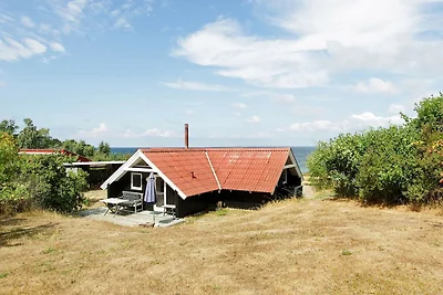 5 Personen Ferienhaus in Asnæs-By Traum