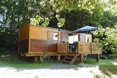 Mooie huifkar in de Ardennen met veel...