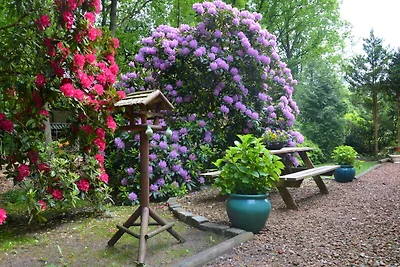 Bungalow indipendente con camino esterno