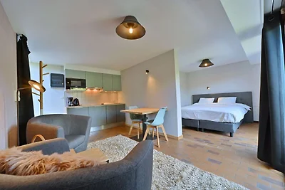 Renovierte Wohnung mit Balkon bei Vielsalm