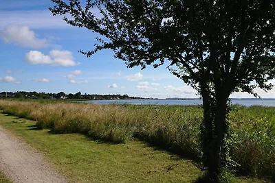 6 Personen Ferienhaus in Nykøbing Sj-By Traum