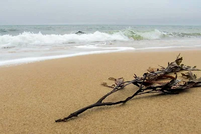 4 Personen Ferienhaus in Gilleleje-By Traum