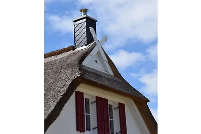 Vakantiehuis in Zierow met zwembad