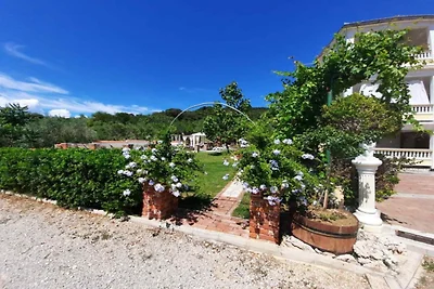 Two Bedroom Apartment With Terrace (A3)