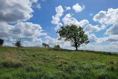 8 Personen Ferienhaus in Ølsted-By Traum