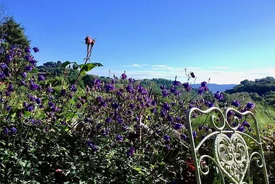 Ripa d'Elce, appartamento vacanze "Gelsomino"