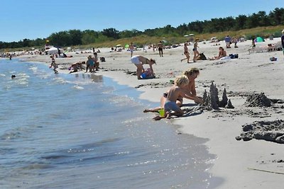 Ferienhaus mit Strandzugang-By Traum