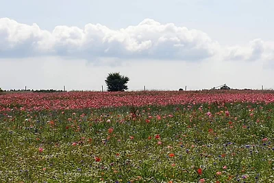 4 Personen Ferienhaus in Hejls-By Traum