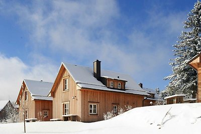Holiday homes in Torfhaus Harzresort,...