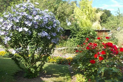 Garden at the house on Blütenweg