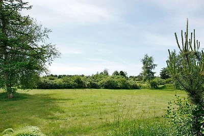 8 persone case ad Fjerritslev-By Traum