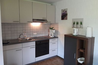 Modernes Appartement in Sellinghausen mit...