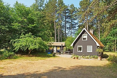 6 Personen Ferienhaus in Nykøbing Sj