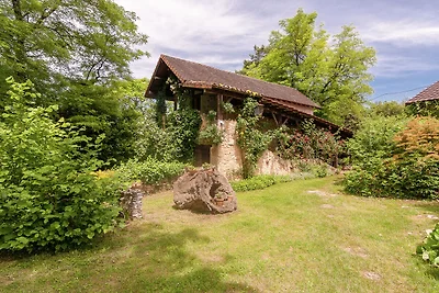 Ferienhaus in Les Eyzies-De-Tayac-Sireuil mit...
