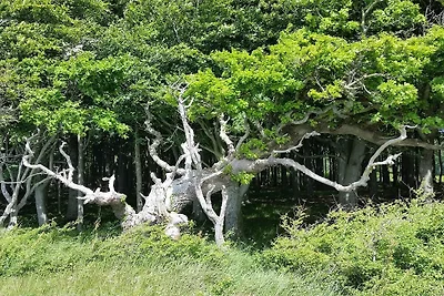 6 Personen Ferienhaus in Dannemare