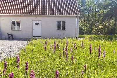 5 Sterne Ferienhaus in Lärbro