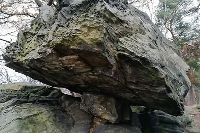 Geräumige Wohnung im Harz nahe Skigebiet