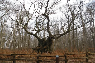7 Personen Ferienhaus in Jægerspris-By Traum