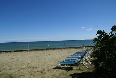 Attraktive Villa in Moriani-Plage am Meer