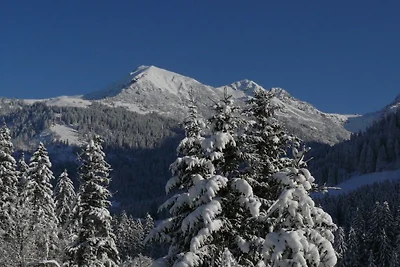 Kuća za odmor Dopust za oporavak Mittelberg