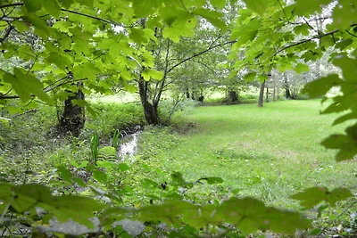 Gemütliches Ferienhaus in Durbuy mit Garten