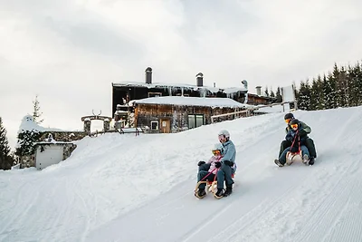 Chalet in Saalfelden nahe Skipisten