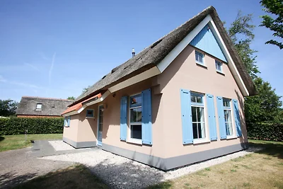 Villa mit Geschirrspüler, auf Texel, Meer 2 k...