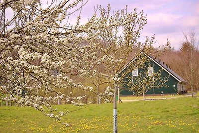 Bella casa a soli 9 km da van Slagharen