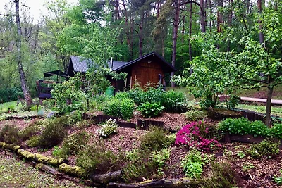 Chalet mit privater Sauna in Bousseviller