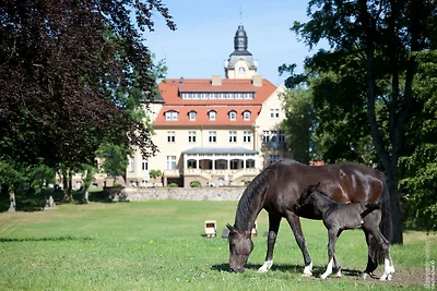 Ferienhaus Oliver, Wendorf