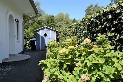 Geräumige Wohnung mit Balkon