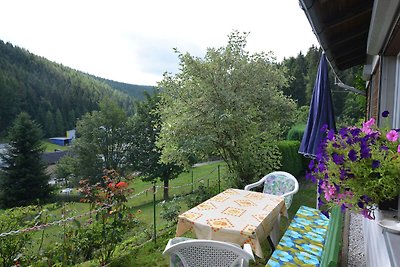 Cosy holiday home in Thuringia with private...