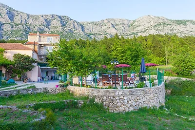 Villa Roza Dalmatian Escape