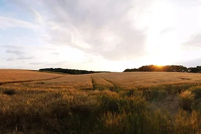 5 persone case ad Hejls-By Traum